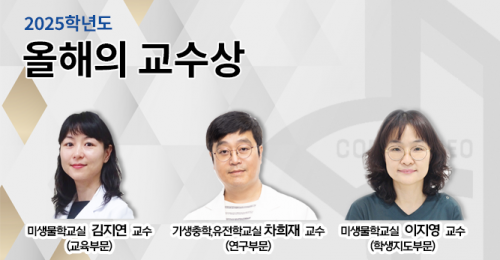 2025학년도 올해의 교수상